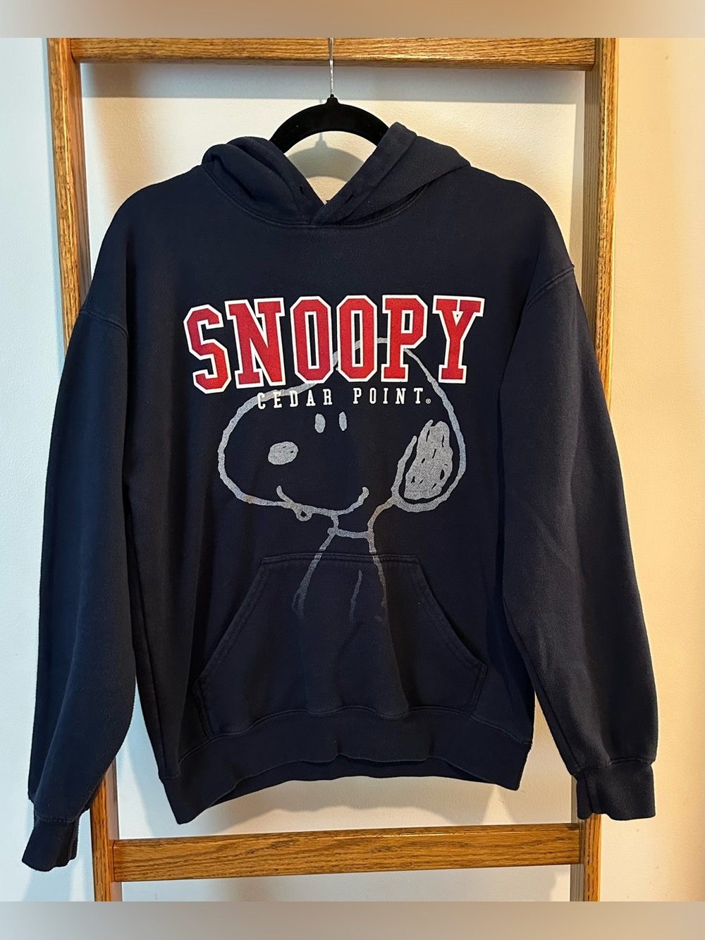 Peanuts Navy Hooded Sweatshirt with Red Snoopy Chest Logo